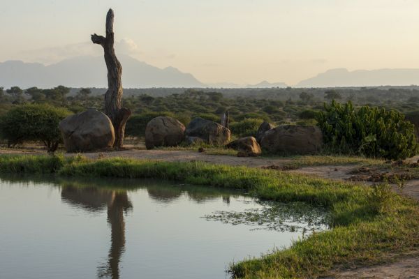 Madikwe Game Reserve