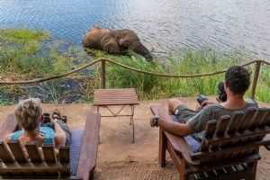 Time + Tide Chongwe Camp