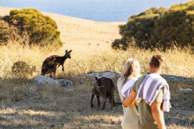 Australia's Scenic Southeast