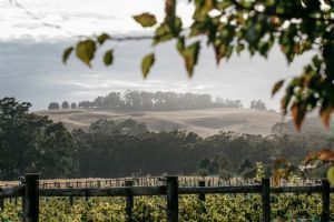 Dairy Flat Farm, Daylesford