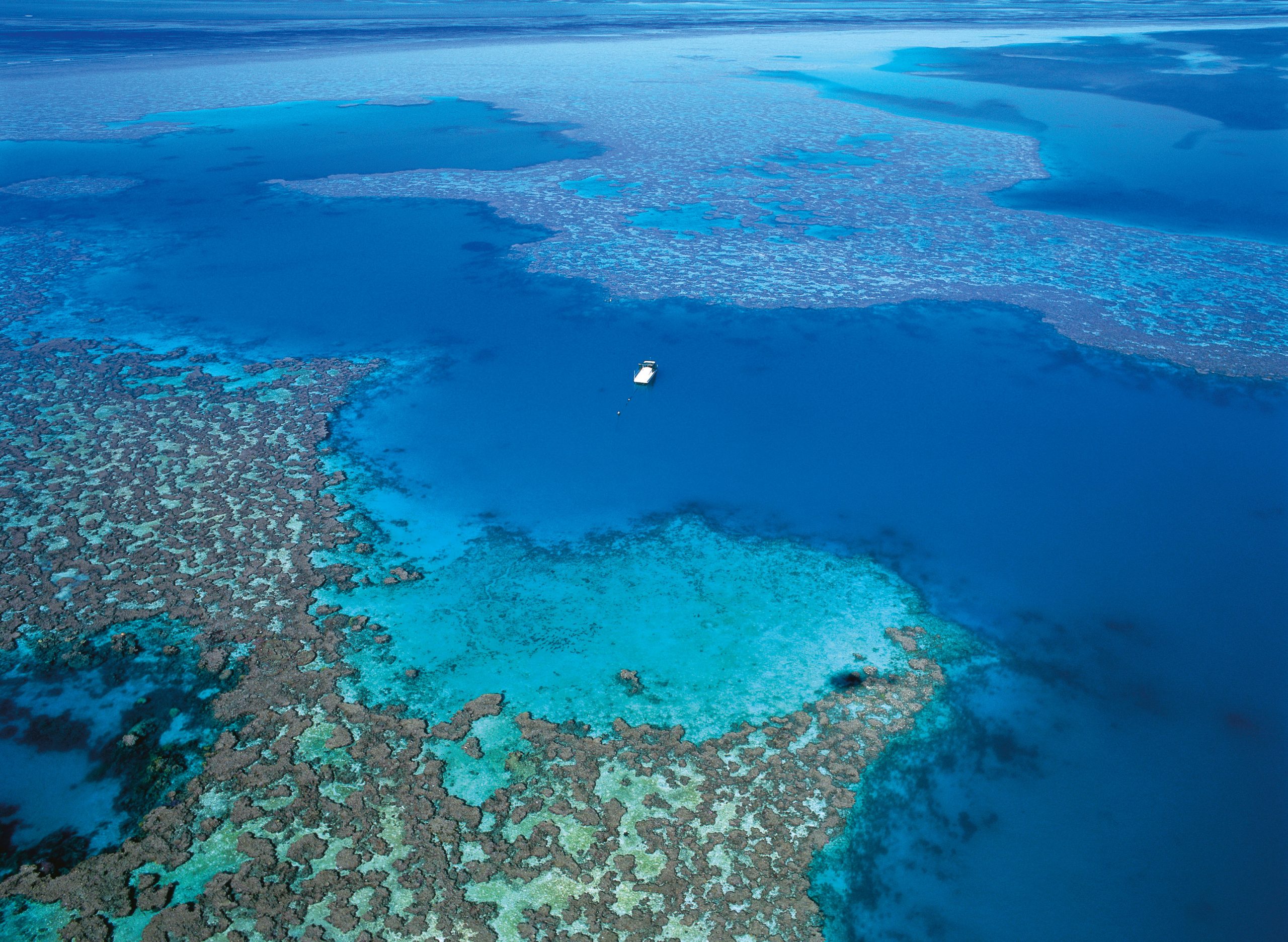 The 10 most wonderful features of the Whitsundays - Swain Destinations