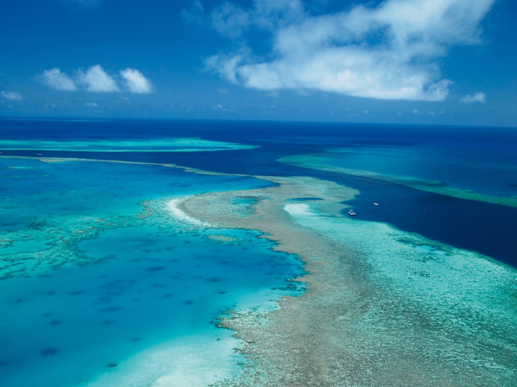Sustaining the Great Barrier Reef - Swain Destinations