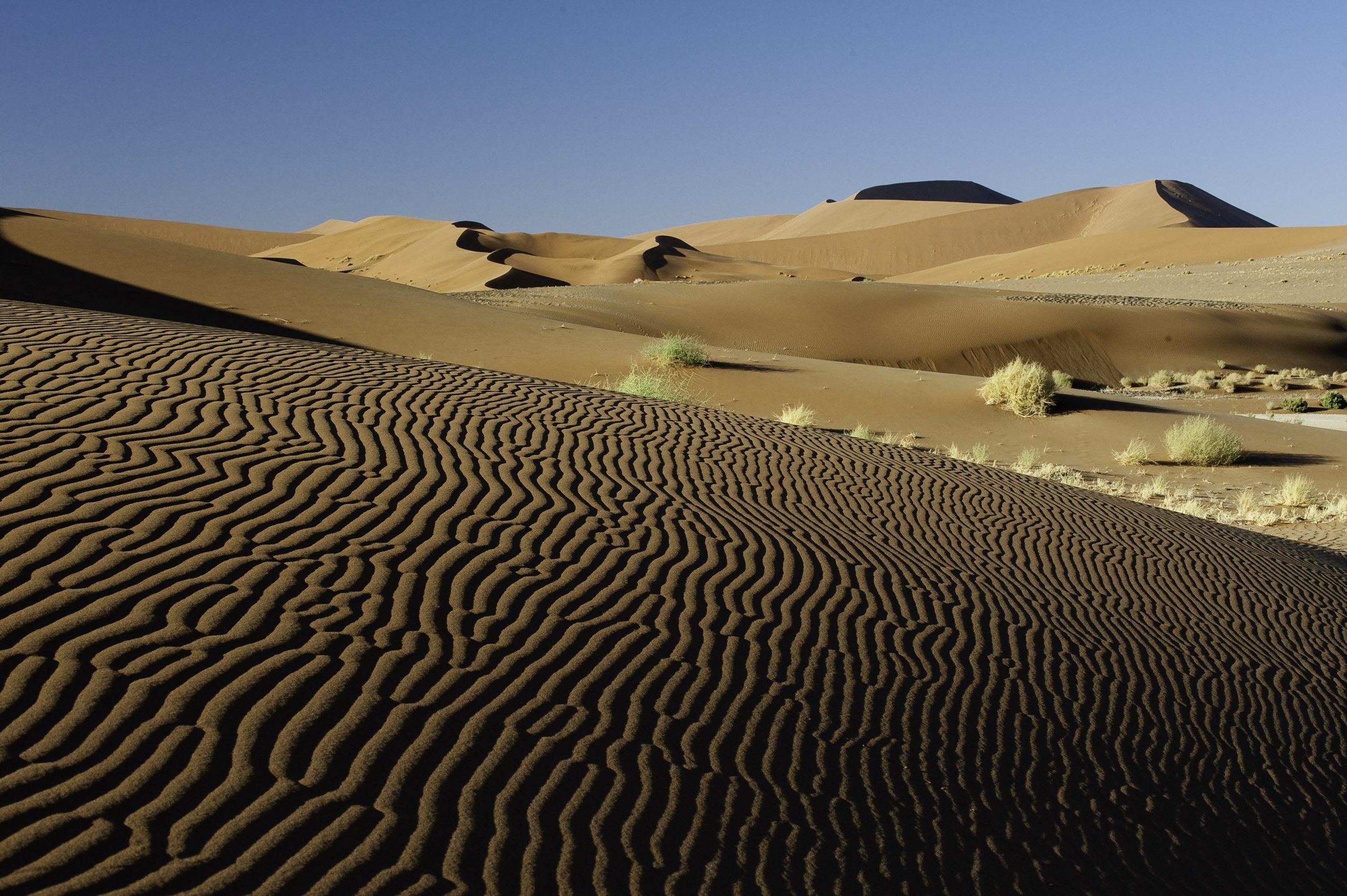 The Dunes Of Namib Swain Destinations