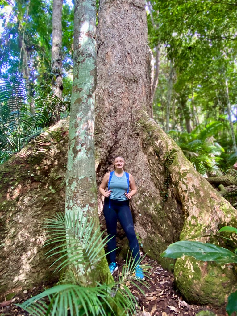 Katie Manley in front of the oldest tree in the Daintree Rainforest.