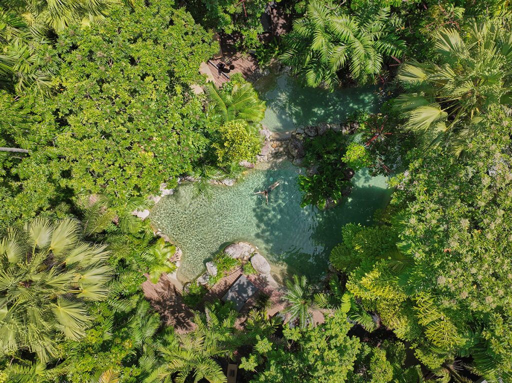 View from above of the pool at Silky Oaks Lodge blending in with it's natural surroundings of rainforest.
