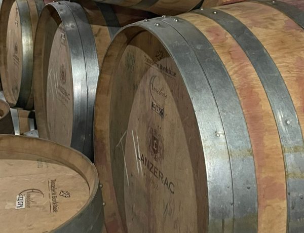 wine barrels at Lanzerac Estate