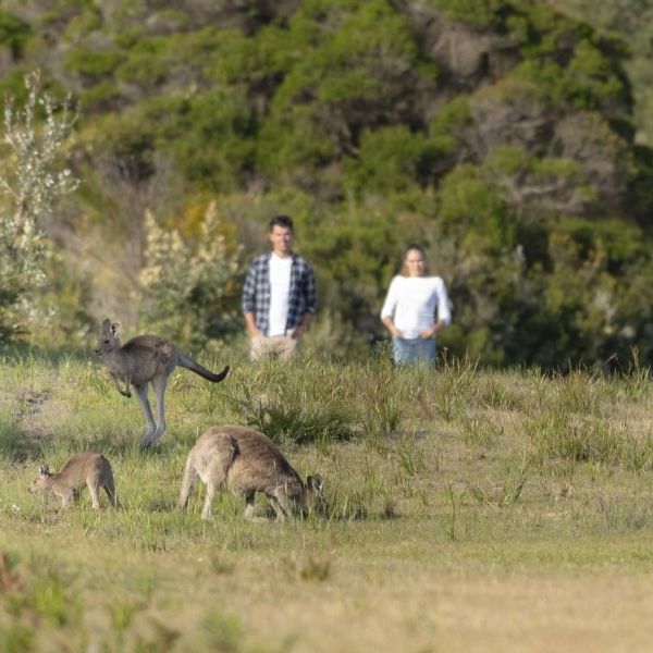 Australia Uncovered