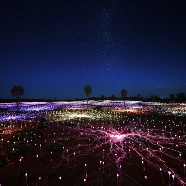 Field of Light in Australia's Northern Territory