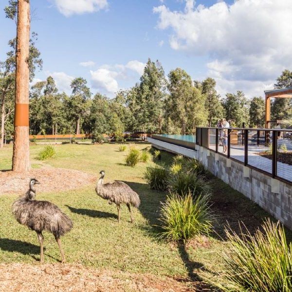 Adventure in Queensland