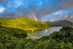 Springtime in New Zealand