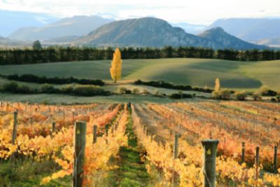 Indulge in New Zealand’s Cozy Season