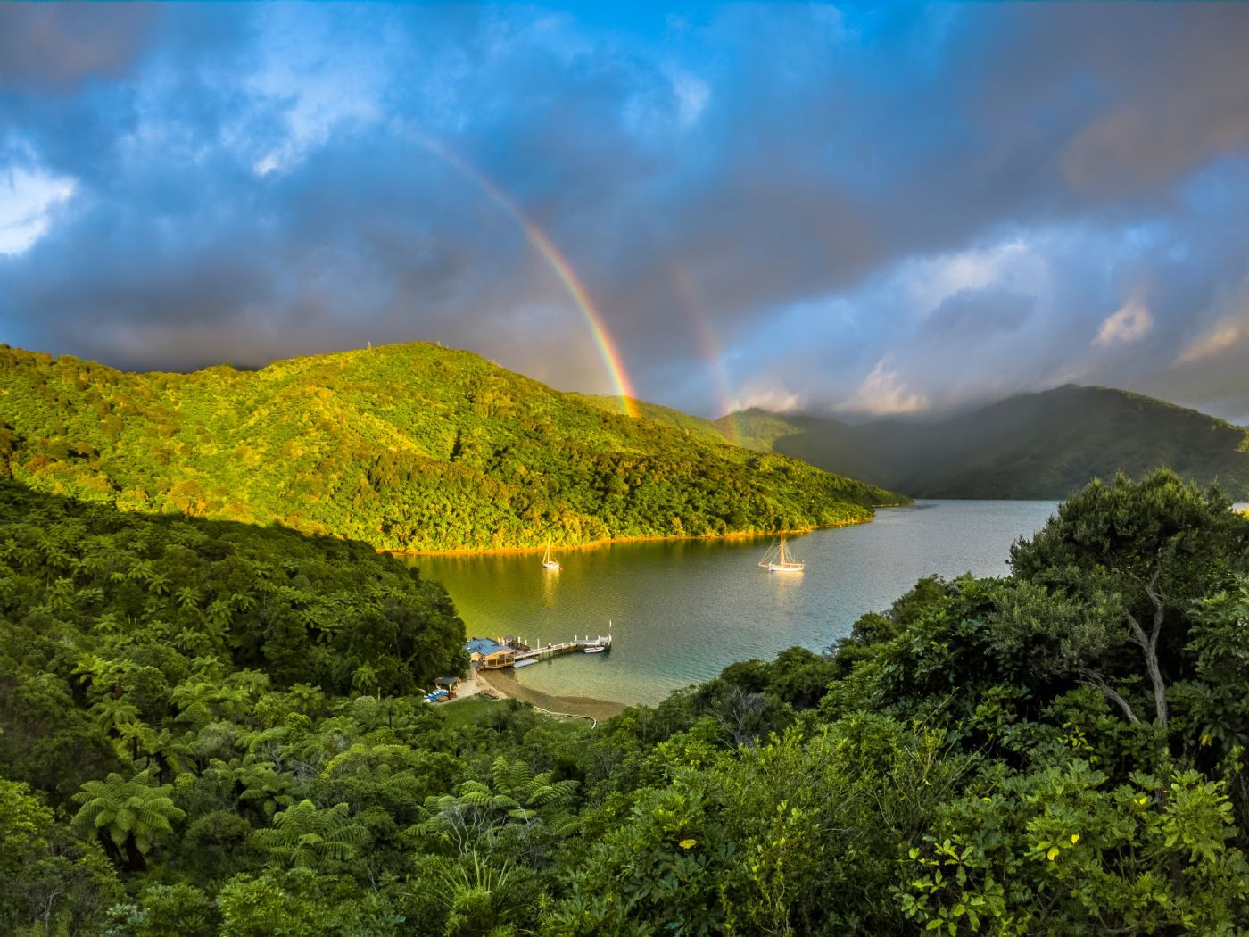 Springtime in New Zealand